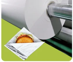 Single Sided Pe Coated Paper